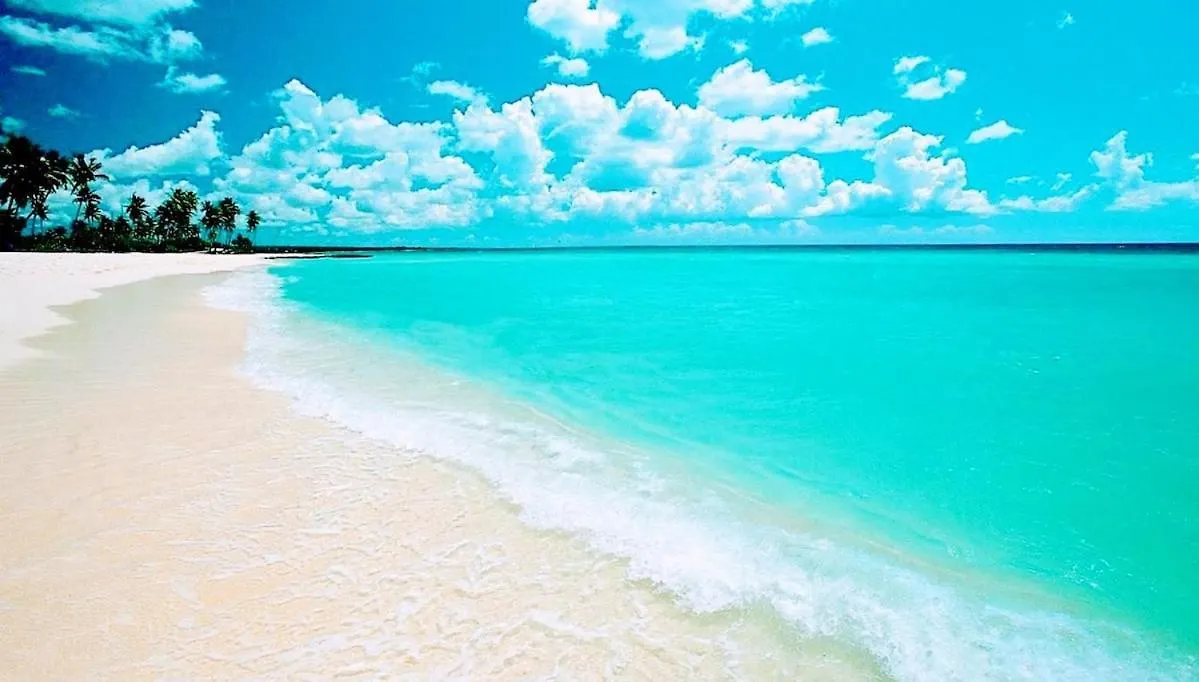 Hot Tub, Pool, Walk To Fun, Beach, Dining, Shops Punta Cana Appartement
