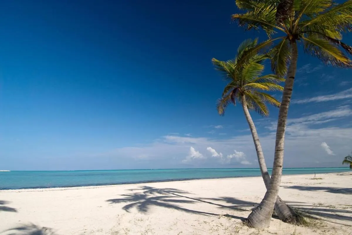 Hot Tub, Pool, Walk To Fun, Beach, Dining, Shops Punta Cana 0*,
